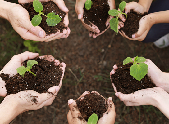 environmental Volunteer jobs