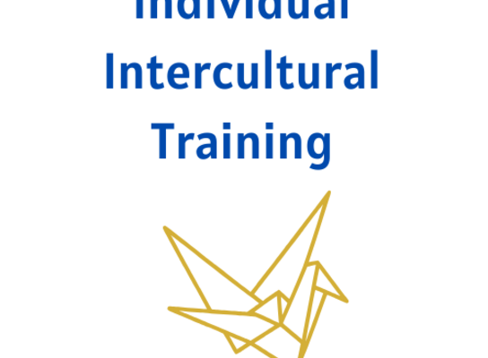 Pre-travel individual intercultural training