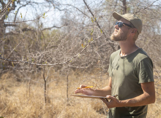 Fauna Survey