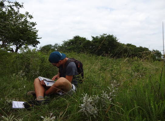 Field study, volunteers out in the wilderness doing research