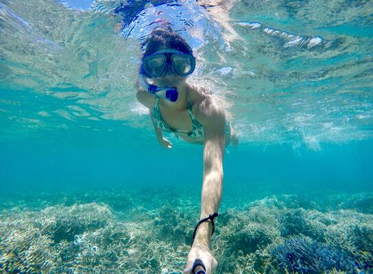 snorkeling
