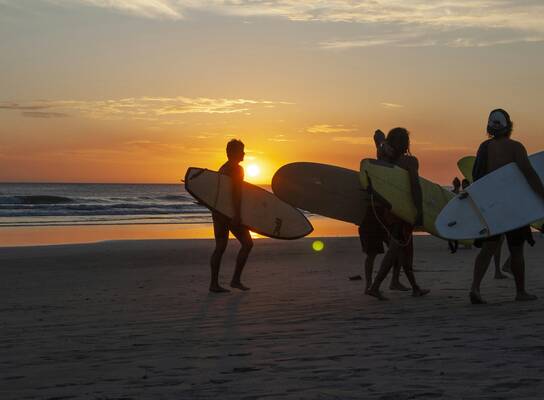 surf