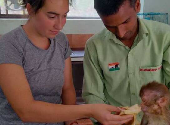 Hands-on care. Interns support wildlife rescue and rehabilitation efforts in India.