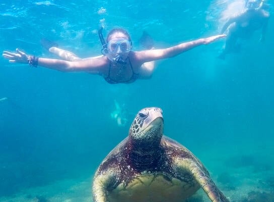 Snorkeling with turtles in Australia