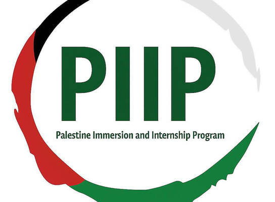 PIIP Logo