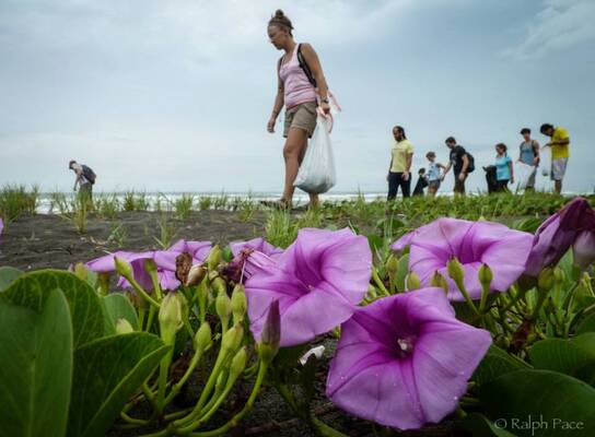 Eco-volunteers take part in field work and community projects - Ralph Pace