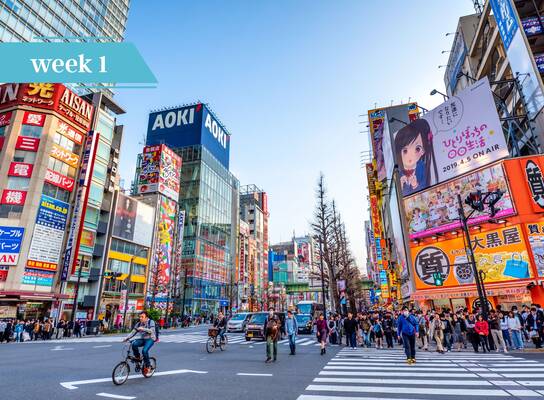 Busy Tokyo street view.