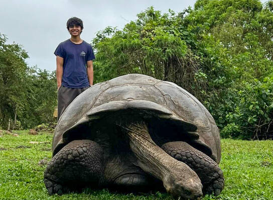 Experimenter poses with Giant Galapagos tortoise