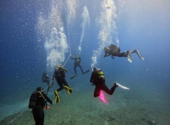 Diving