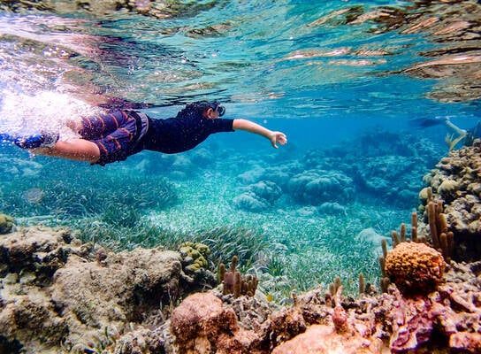Boy snorkleing