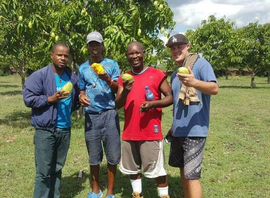 Reforestation and environmental protection 