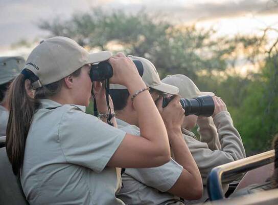 Viewing Nature