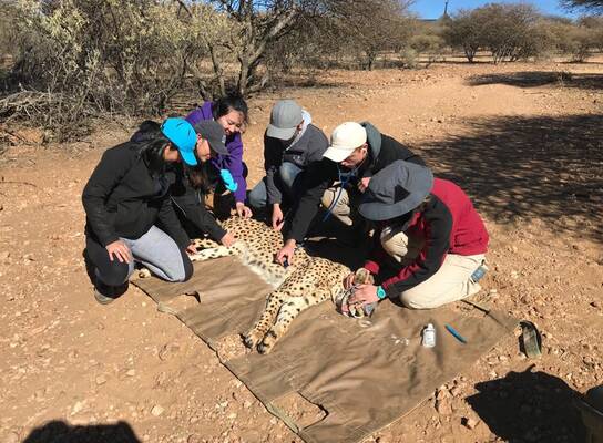 Students with Cheetah