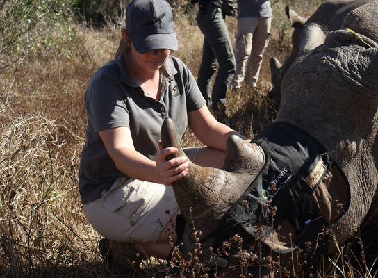 Volunteer with Rhino