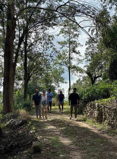 group hiking through Kandy hills