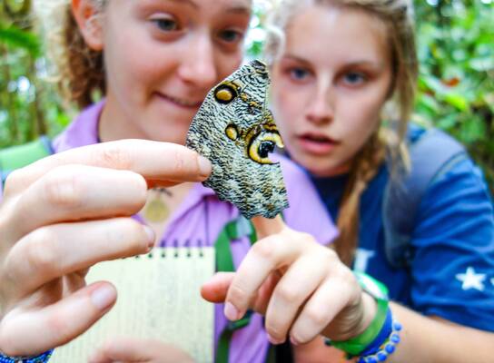 Students studying a butterfly.