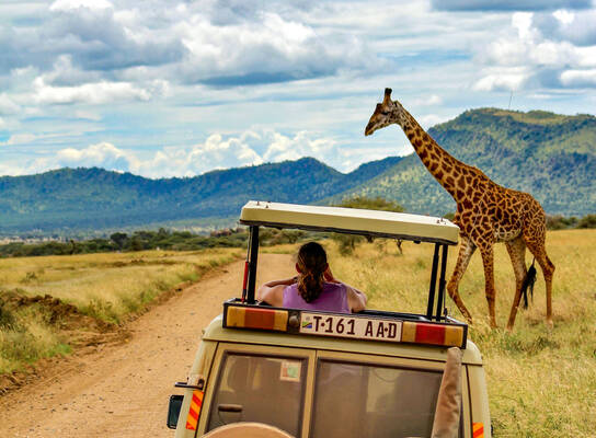 Safari jeep with giraffe in Tazania.