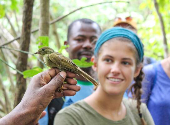 Students studying a bird in the rainforest.