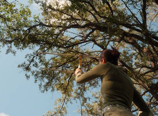 Tracking wildlife with VHF