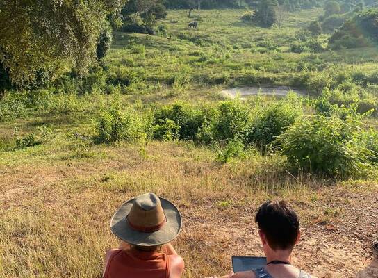 Conducting behavioural research on wild elephants in Kuiburi National Park