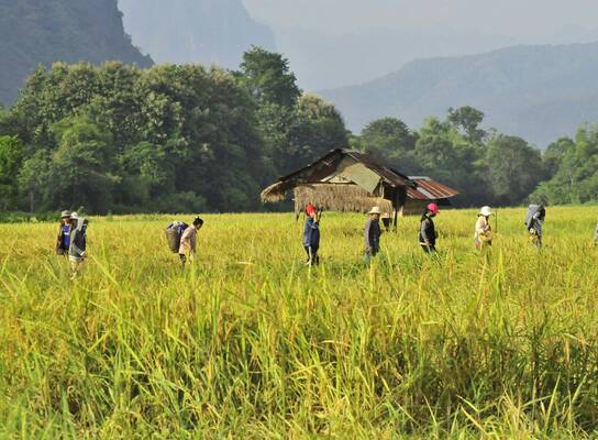 Volunteer in Laos