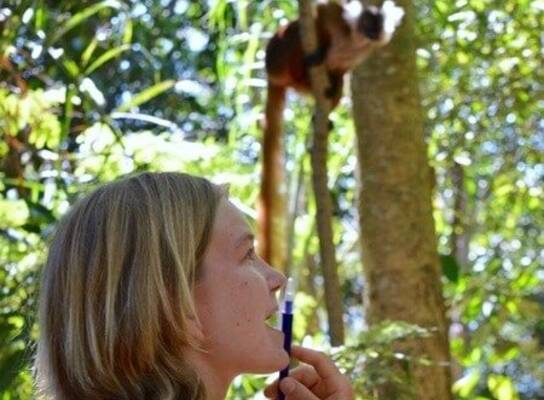 A volunteer observing a lemur in the rainforest in Madagascar