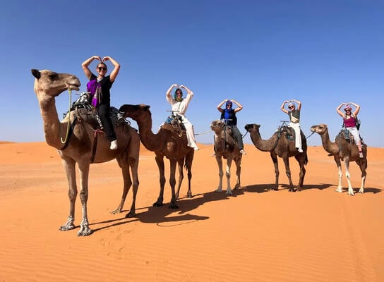 Camel Riding in the Sahara