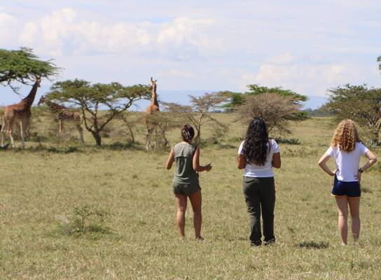 Volunteers doing fieldwork at Soysambu Conservancy, Kenya