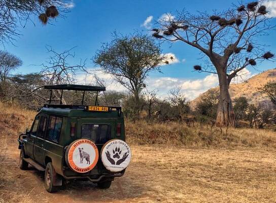 Hyena research tanzania