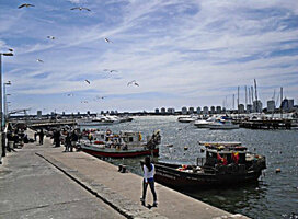 Internships in Uruguay