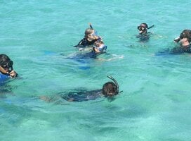 Students swimming