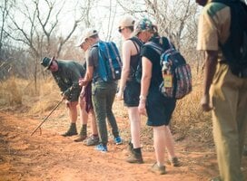 Wildlife Conservation in Victoria Falls with IVHQ