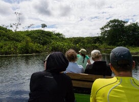 Guiding eco-tour to nesting area of Agami Herons, Tapiche Reserve