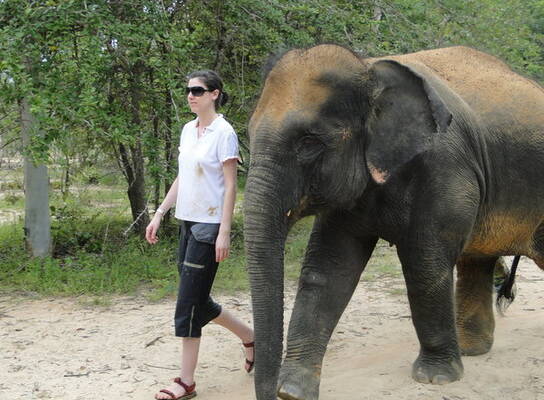 Oceans 2 Earth Thai Wildlife Volunteer Project