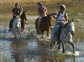 Horse Riding volunteers