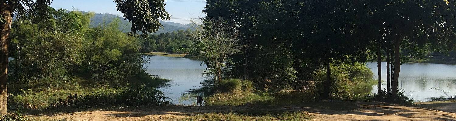 Volunteer at Wildlife Sanctuary in Thailand 