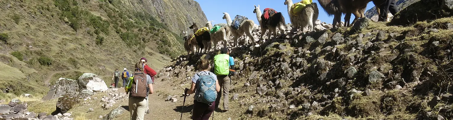 SStS Peru: Llamas and Environmental Conservation