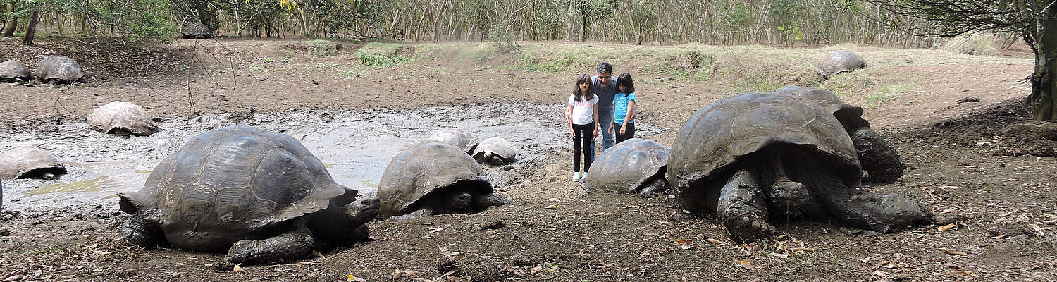 Galapagos Islands: Family Volunteer Vacation with Discover Corps
