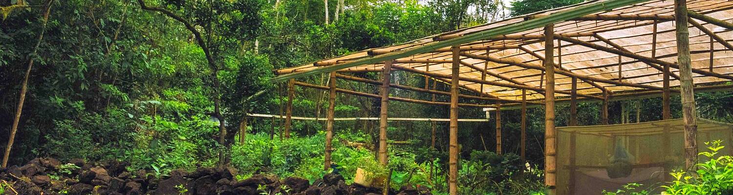 Galapagos Islands: Sustainable Agriculture, Food Systems, and Conservation Internships
