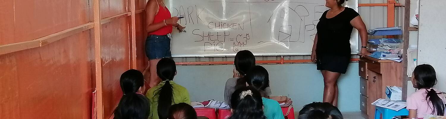 Volunteer Teaching for Cambodian School EIC
