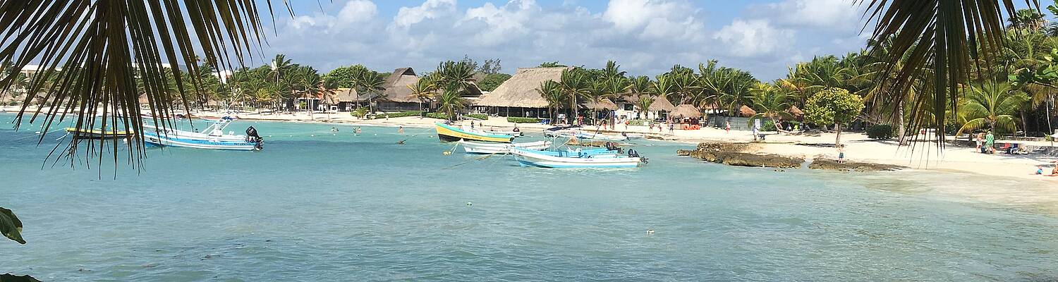 GVI, Ethical Impact: Internships in Mexico
