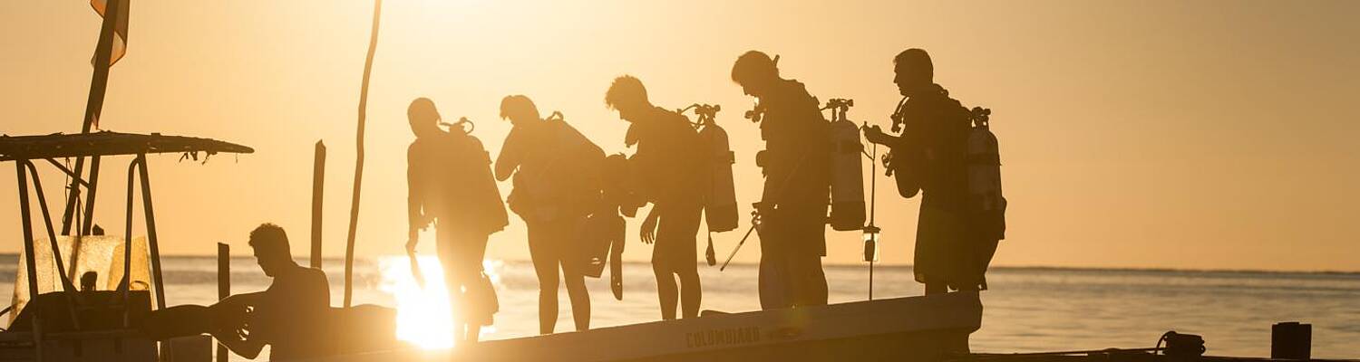 Blue Ventures Marine Conservation Expeditions in Belize