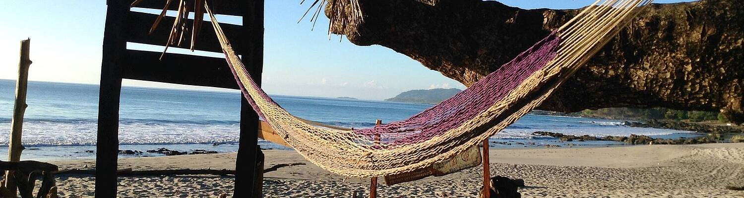Turtles + Plastic Ocean Conservation in Costa Rica 