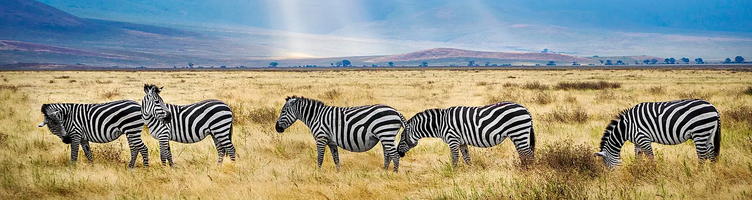 Tanzania: Meaningful Summer Abroad in Tanzania for High Schoolers