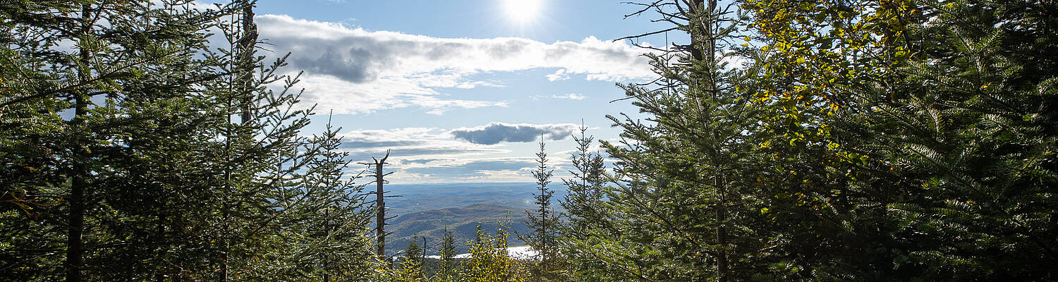 Backpackers: The North
