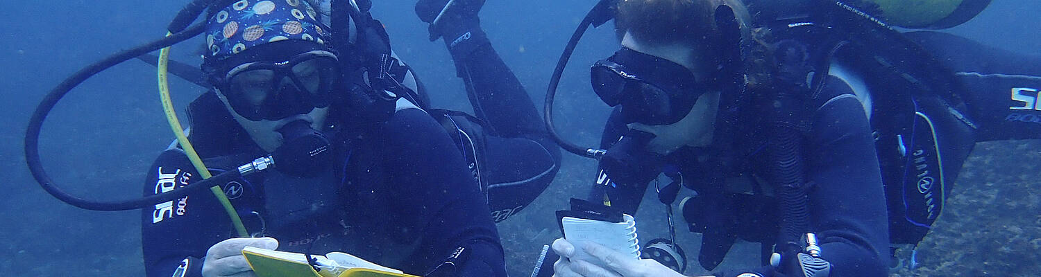 PADI Divemaster Course with marine conservation
