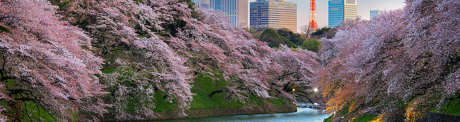 CIEE College Study Abroad in Tokyo, Japan
