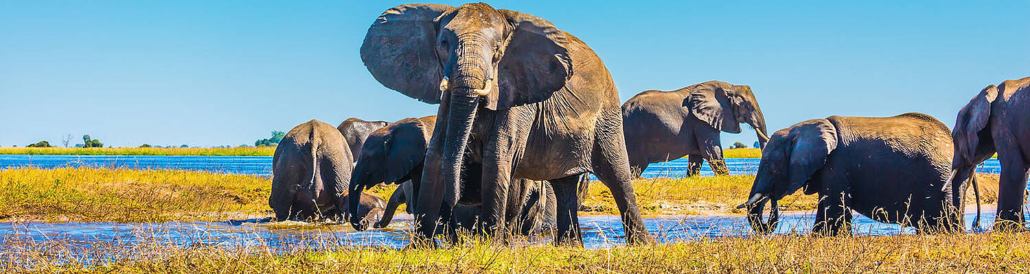 CIEE College Study Abroad in Gaborone, Botswana
