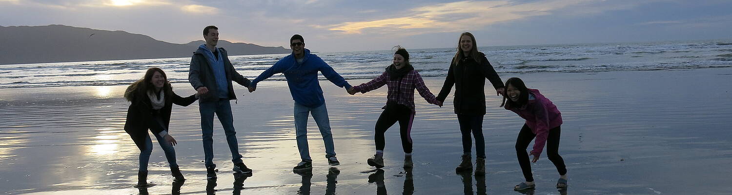 Gap Year: 6-month+ Service Learning Opportunities in New Zealand with United Planet
