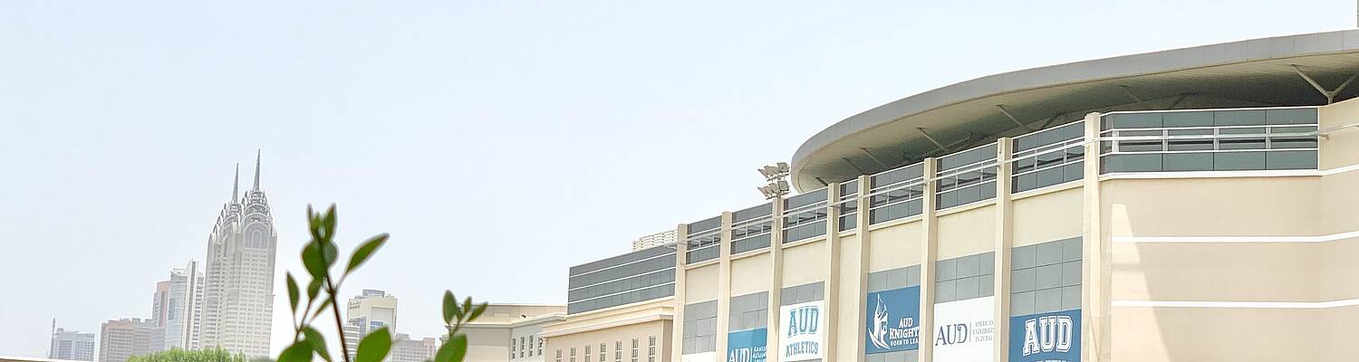 Amideast Direct Enrollment at American University in Dubai
